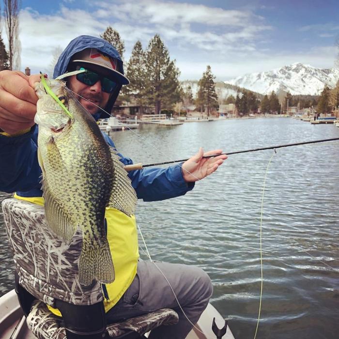 Social media post by fishburghpurdy