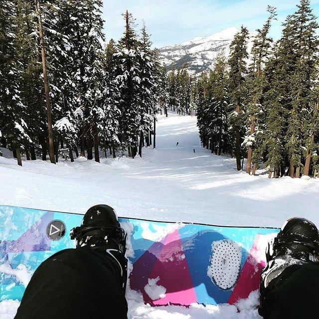 Social media post by anchordsup