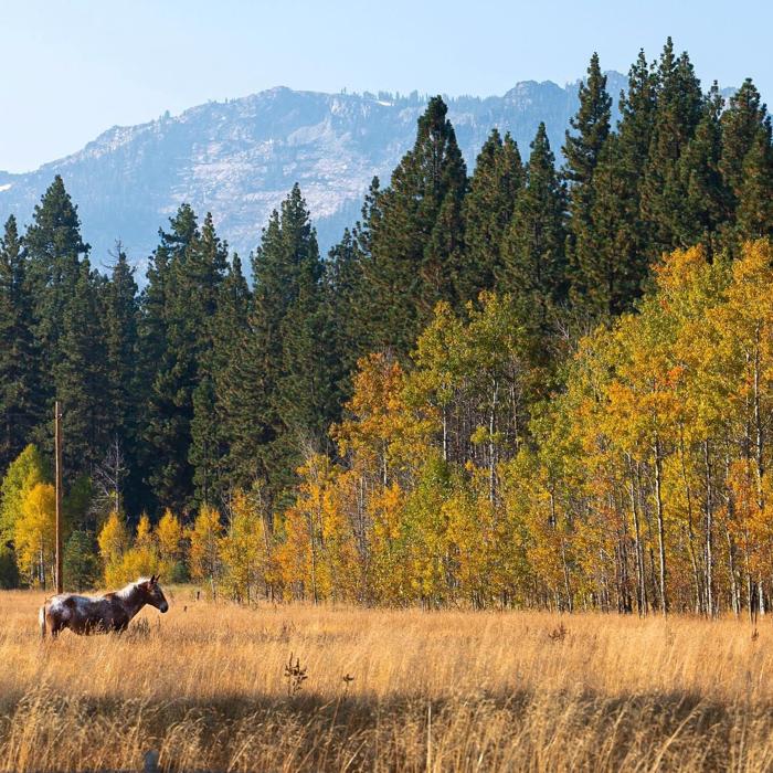 Social media post by alexjukl