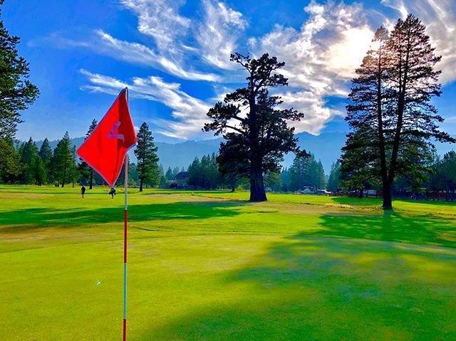 Social media post by winchcat