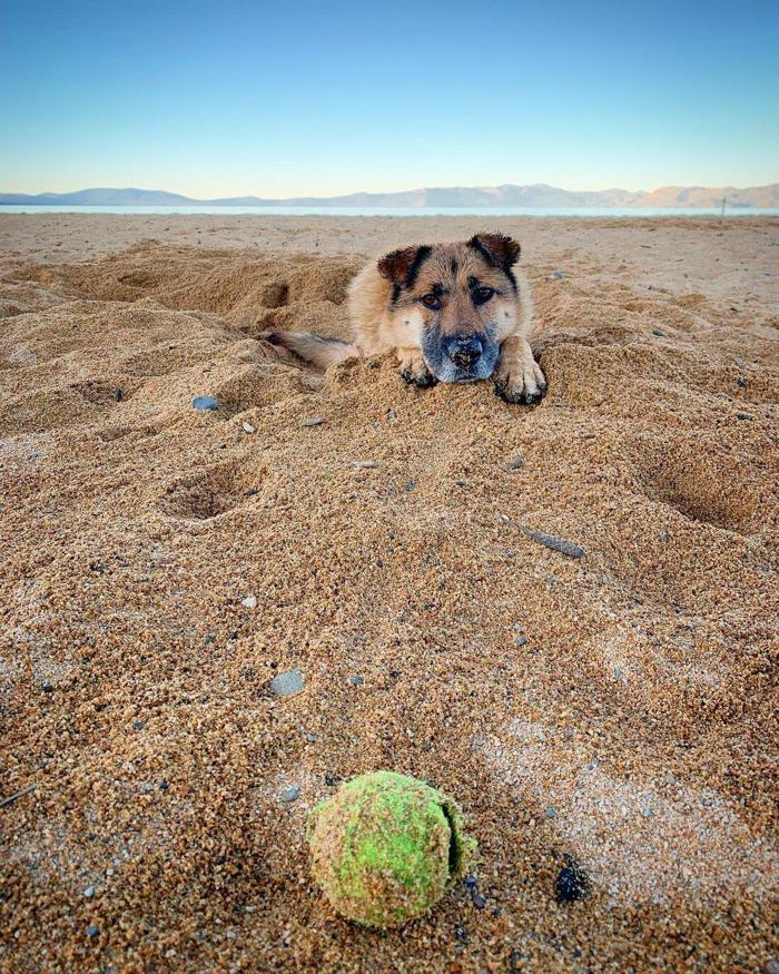 Social media post by kevinmalley