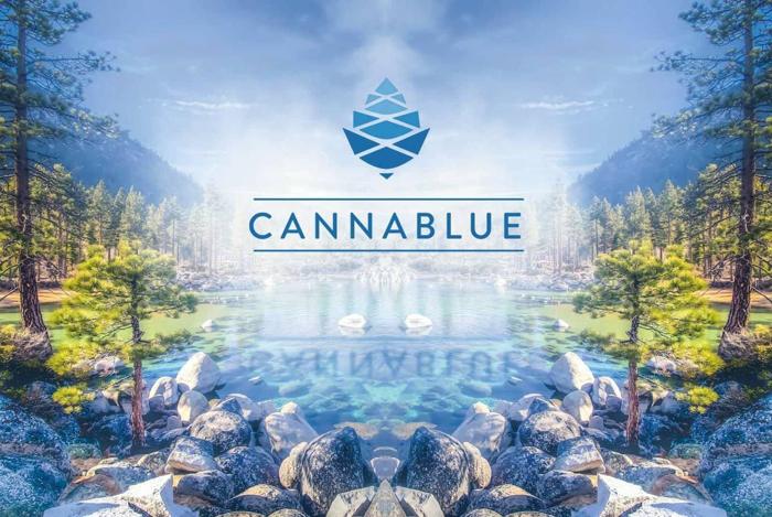 Social media post by keepcannablue