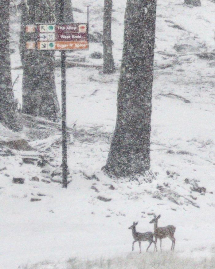 Social media post by sierra_at_tahoe