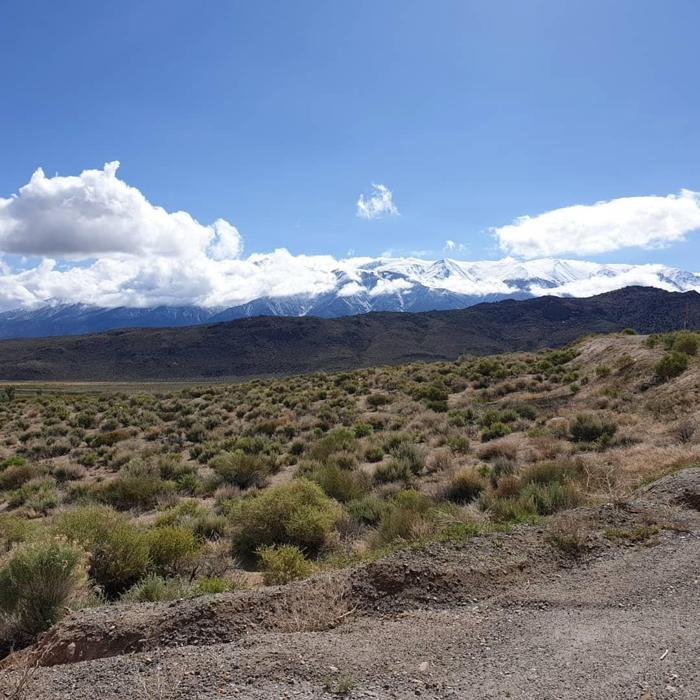 Social media post by missmacphisto