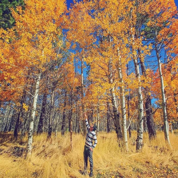 Social media post by johnsonwoan