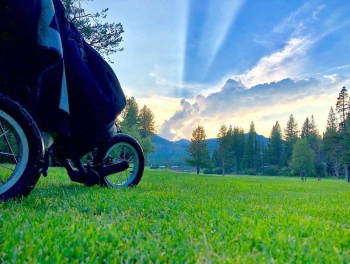 Social media post by winchcat