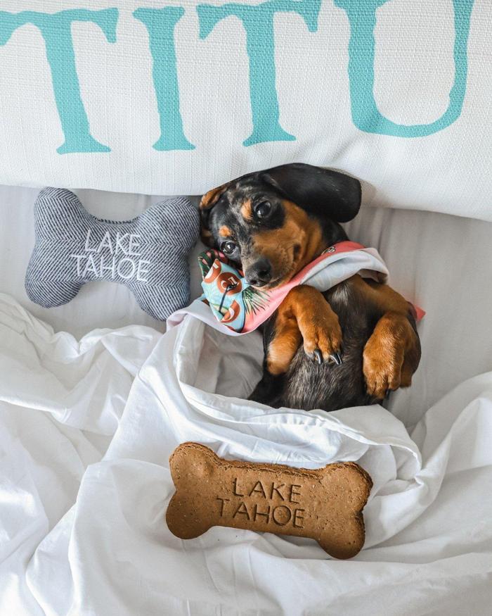 Social media post by haleymartinoxo