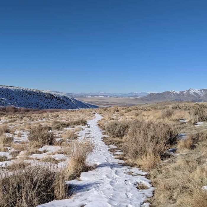 Social media post by anaisislost