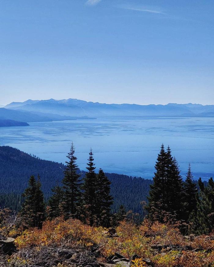 Social media post by liam_in_ny