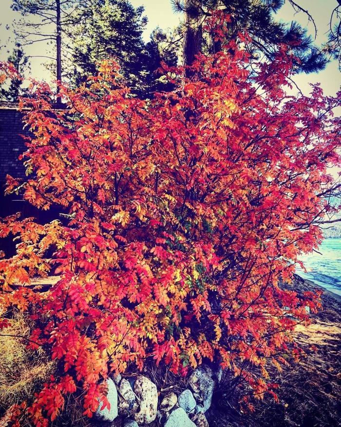 Social media post by claire_bear_iow