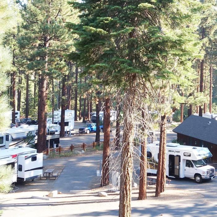 Social media post by perninhasnervosas