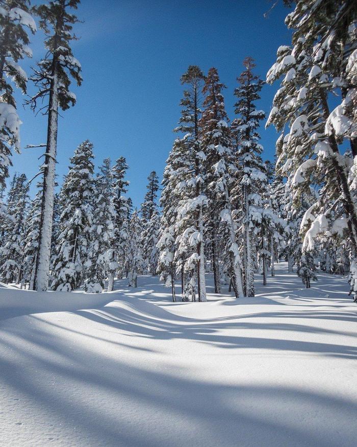 Social media post by jaredmanninen