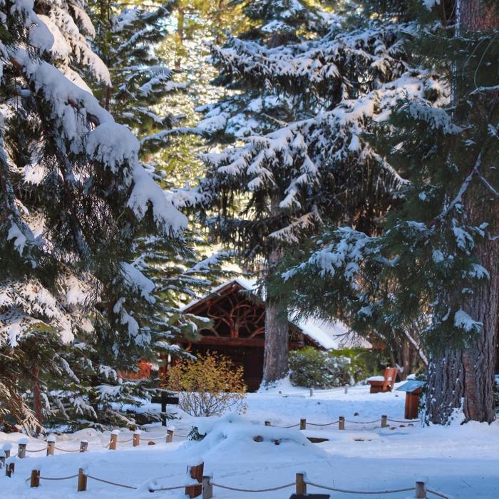 Social media post by tallachistoricsite