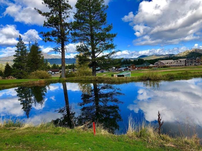 Social media post by winchcat