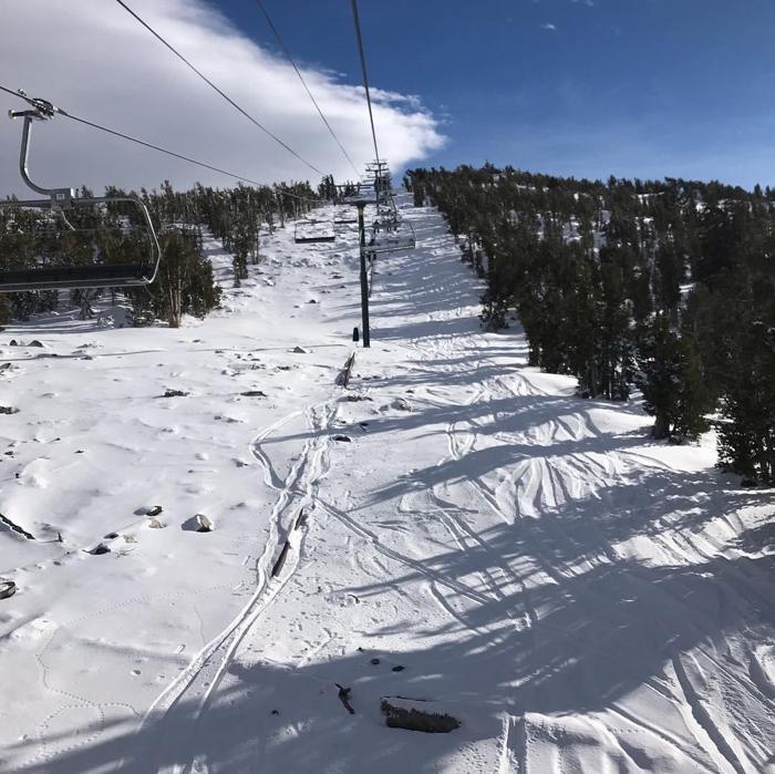 Social media post by the_atx_landscaper