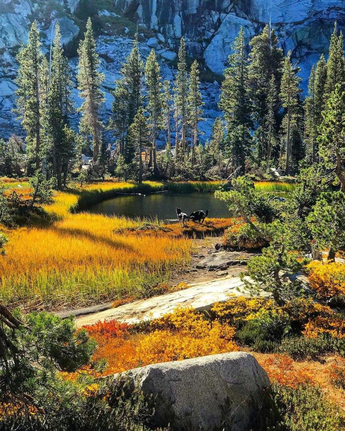 Social media post by atkaandnukka