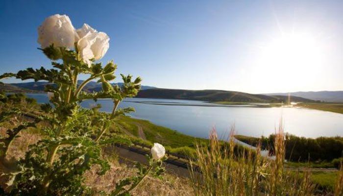 Social media post by 