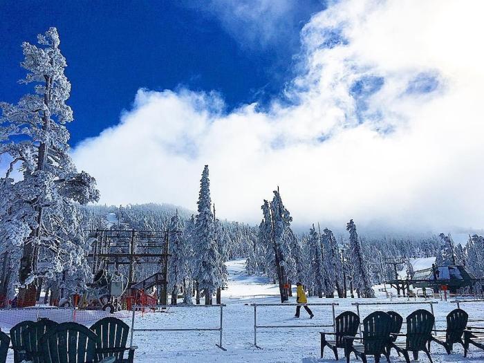 Social media post by jaylynn_d