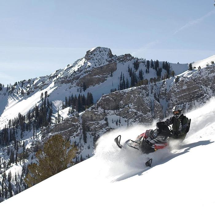 Social media post by seancolt