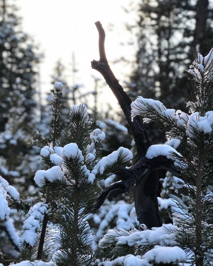 Social media post by camprichardson