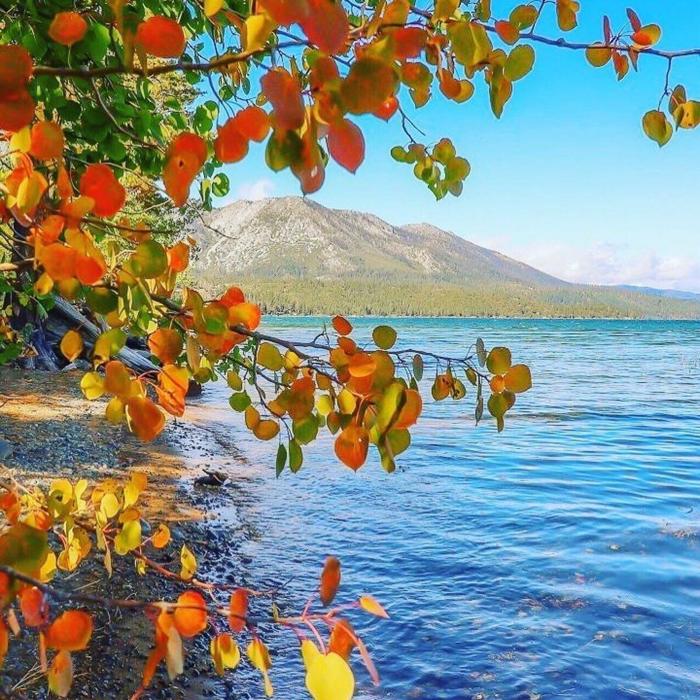 Social media post by thelandingresortandspa