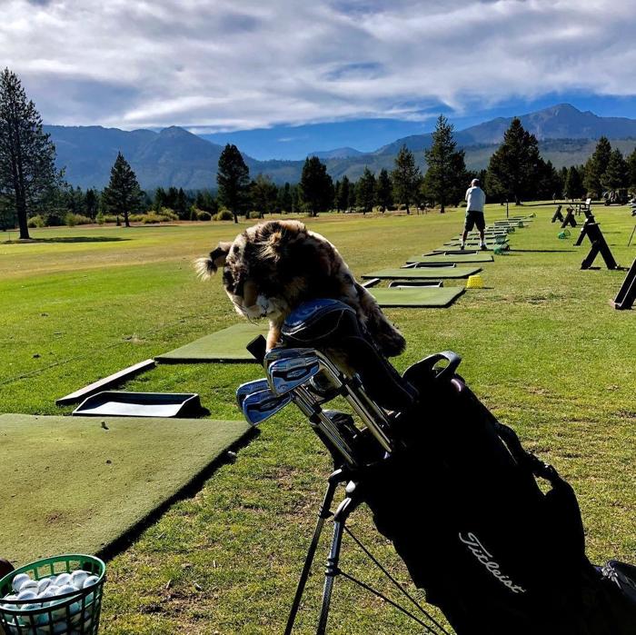 Social media post by winchcat