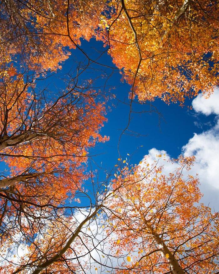 Social media post by ruslanphotography_nature