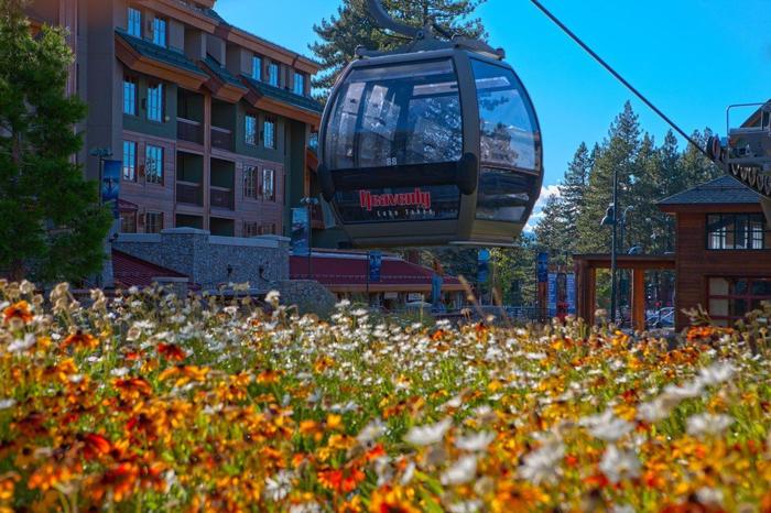 Social media post by skiheavenly