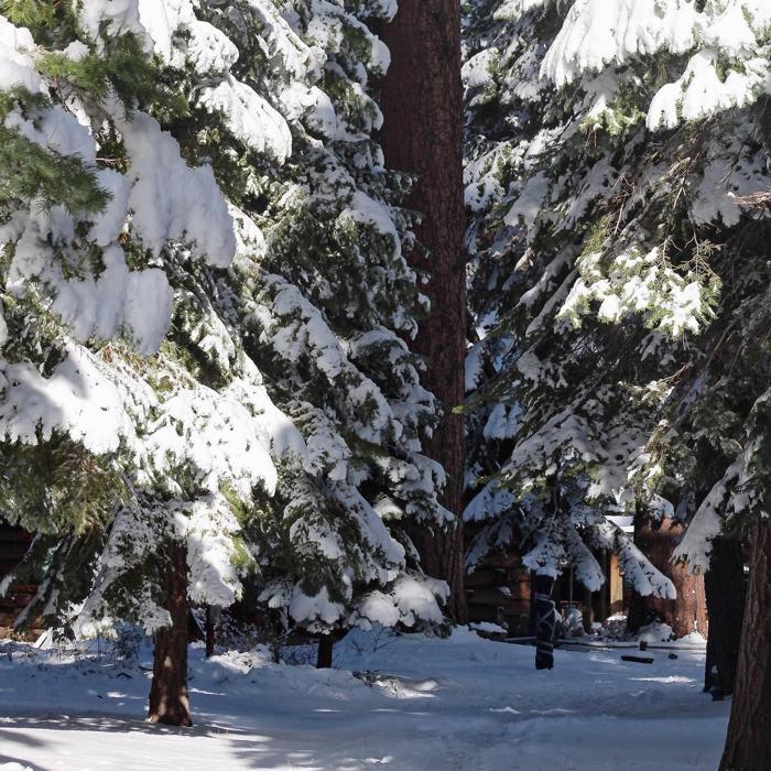 Social media post by tallachistoricsite