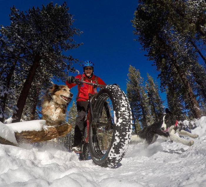 Social media post by harebrainbob