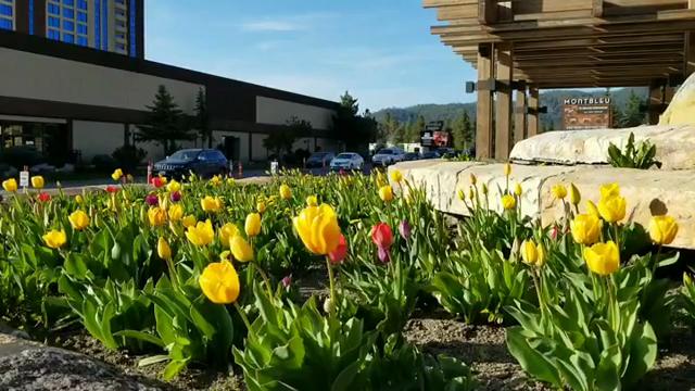 Social media post by jenntiddy