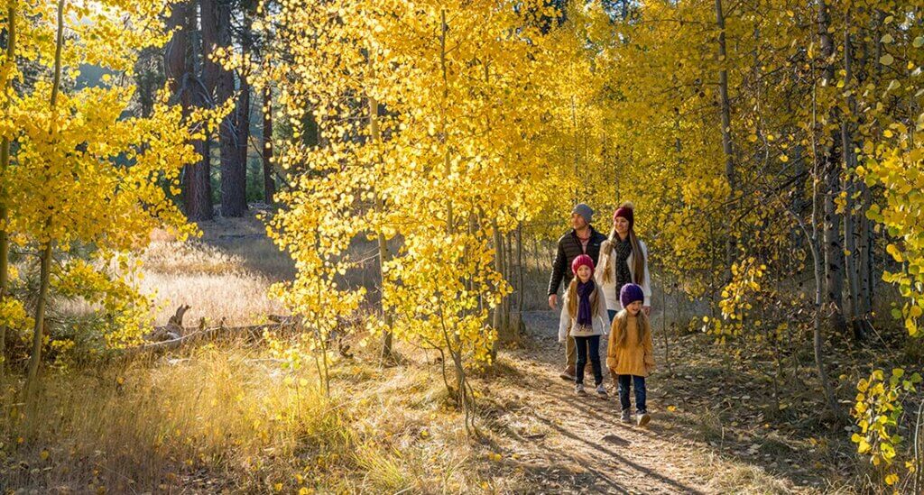 easy hiking trails in south lake tahoe