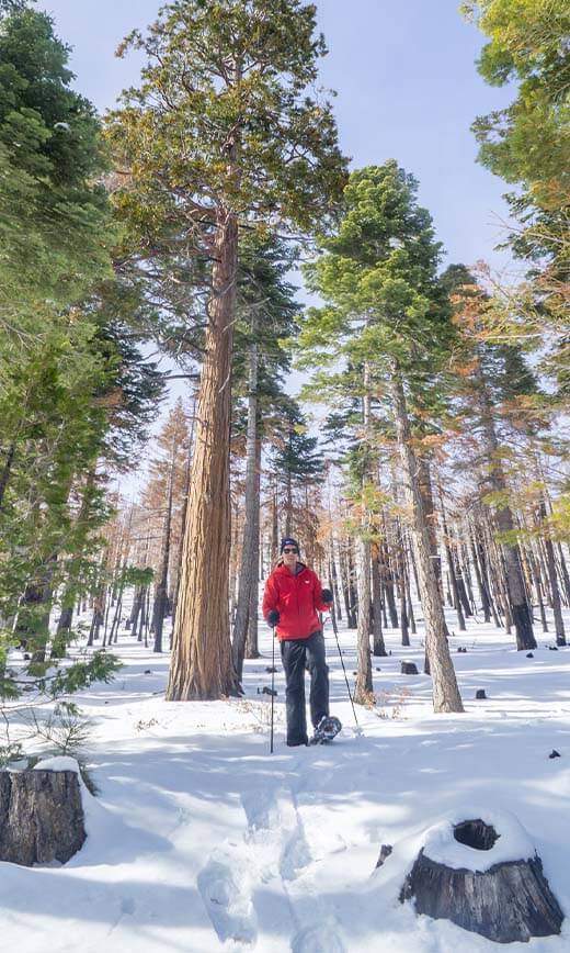 snowshoeing