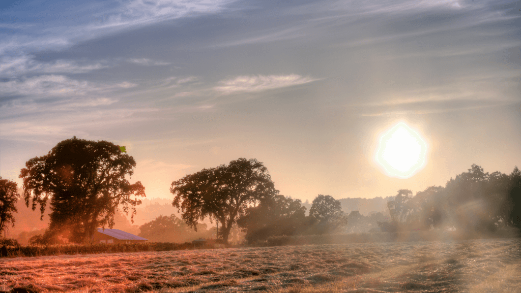 A Thin Layer of Fog Over Calistoga 