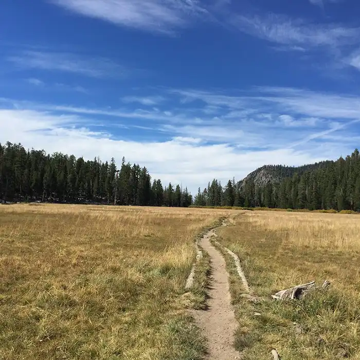 Big Meadow Trail